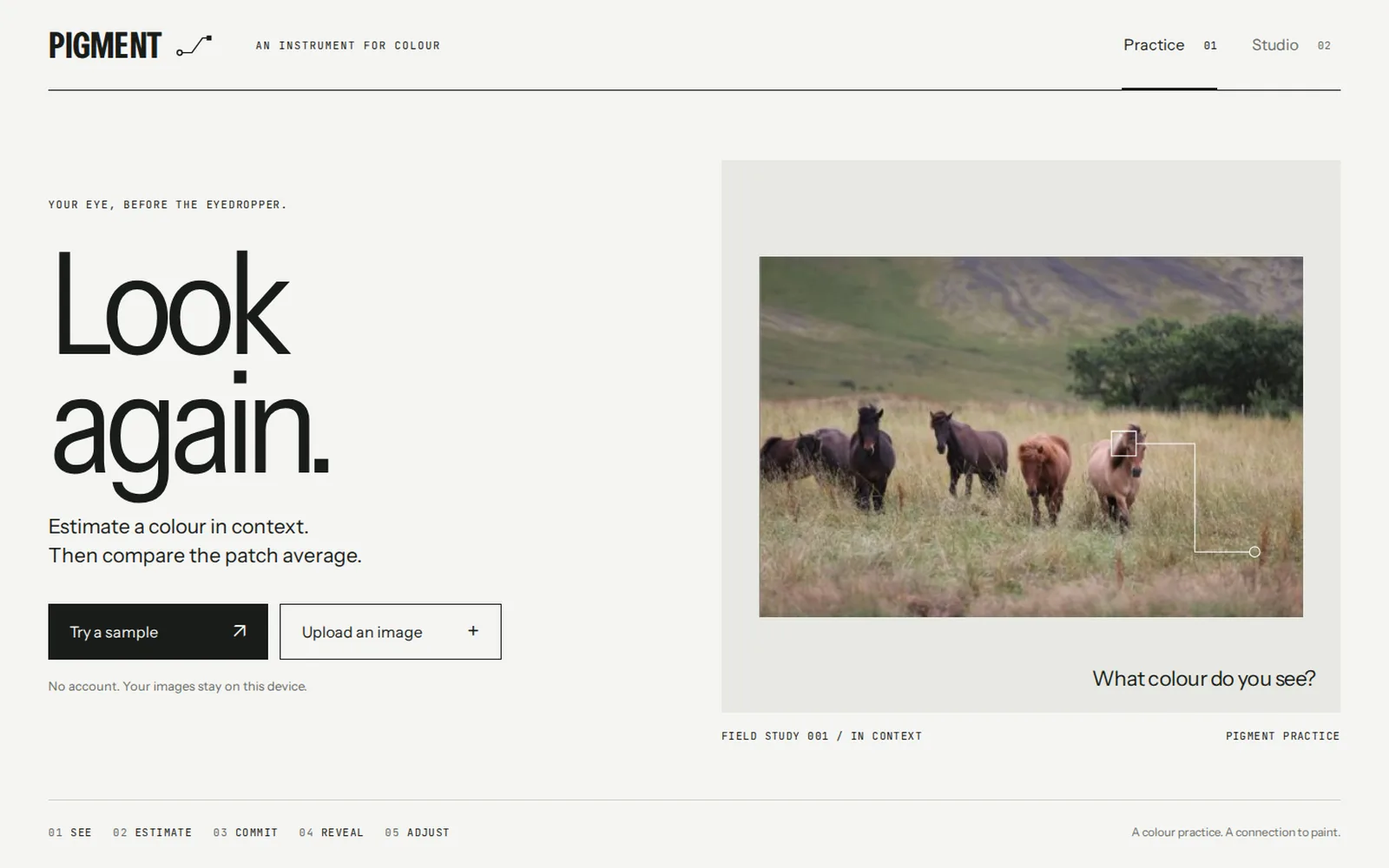PIGMENT Practice start screen: the heading Look again, with options to try a sample or upload an image beside a field study of Icelandic horses.